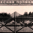 «Любезное моё Отечество»: пионерский лагерь «Лесная поляна» - Озёрский район